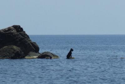 Прикрепленное изображение: DSCF8536.jpg